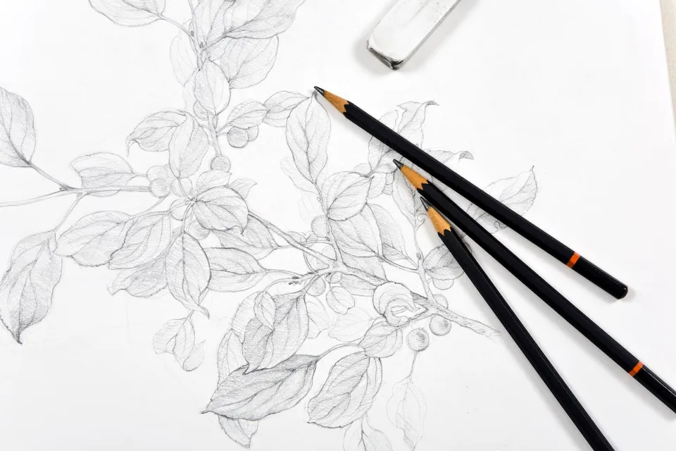 Learning to Draw with Graphite Pencil | Here's What You Need to Know